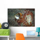 Fangblenny North Sulawesi Indonesia Wall Decal