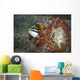 Fangblenny North Sulawesi Indonesia Wall Decal