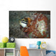 Fangblenny North Sulawesi Indonesia Wall Decal