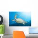 Green Sea Turtle Reef Close-up Wall Decal