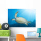 Green Sea Turtle Reef Close-up Wall Decal
