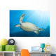 Green Sea Turtle Reef Close-up Wall Decal