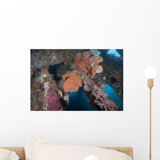 Sea Fans Coral and Wall Decal