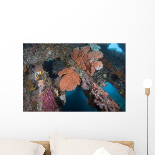 Sea Fans Coral and Wall Decal