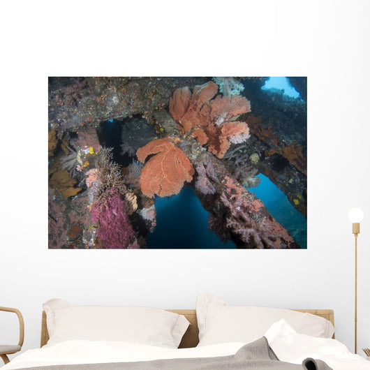 Sea Fans Coral and Wall Decal