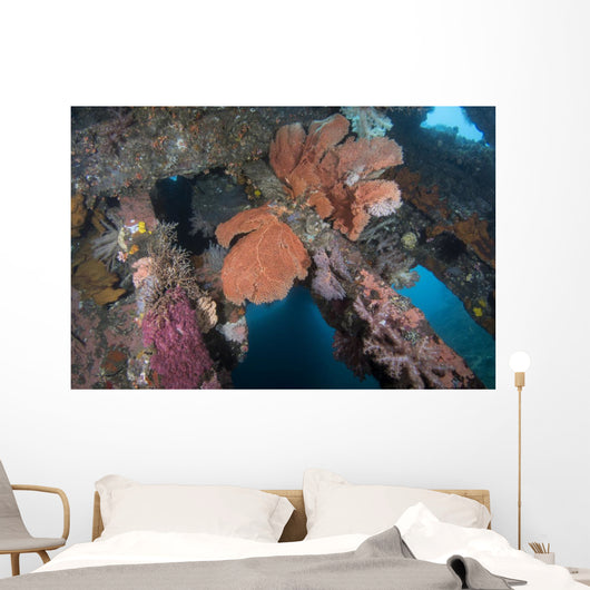 Sea Fans Coral and Wall Decal