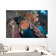 Sea Fans Coral and Wall Decal