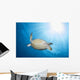 Green Sea Turtle Horiztonal Wall Decal