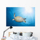 Green Sea Turtle Horiztonal Wall Decal