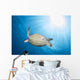 Green Sea Turtle Horiztonal Wall Decal