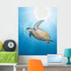 Green Sea Turtle Vertical Wall Decal