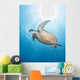 Green Sea Turtle Vertical Wall Decal