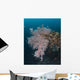 Coral Growth Uss Liberty Wall Decal