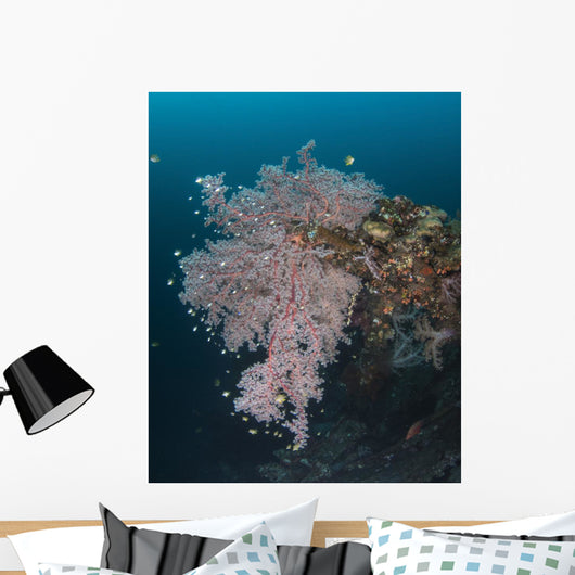 Coral Growth Uss Liberty Wall Decal