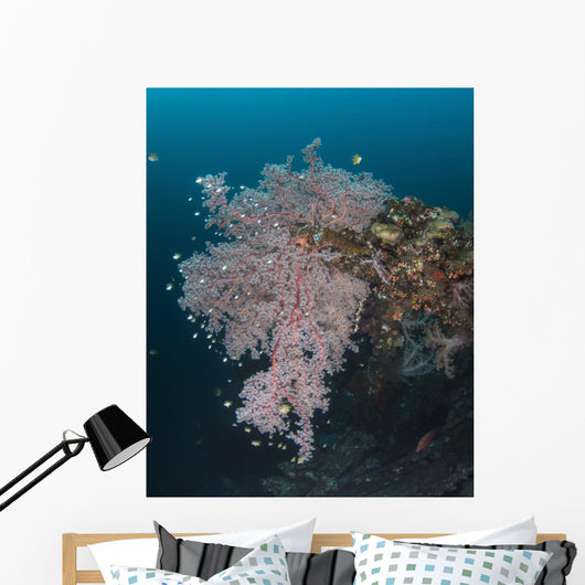 Coral Growth Uss Liberty Wall Decal