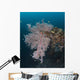 Coral Growth Uss Liberty Wall Decal