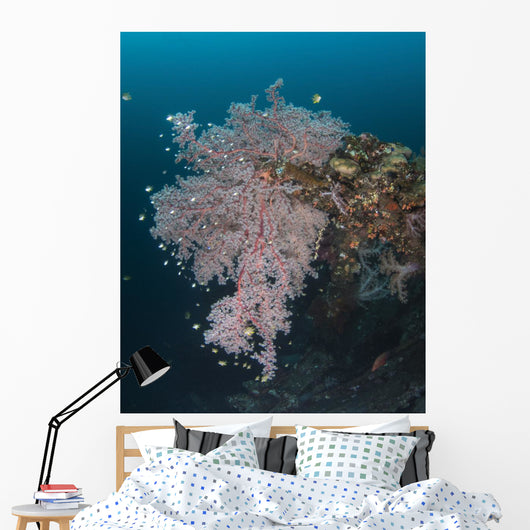 Coral Growth Uss Liberty Wall Decal