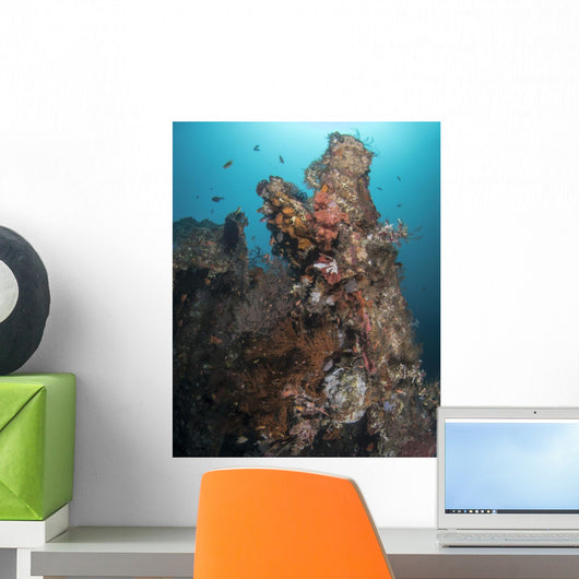 Marine Life Uss Liberty Wall Decal
