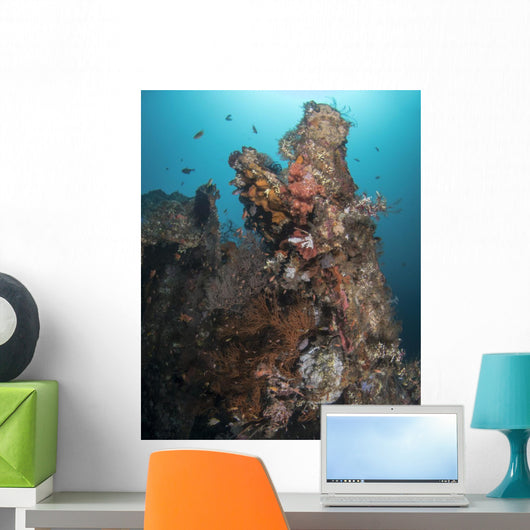 Marine Life Uss Liberty Wall Decal