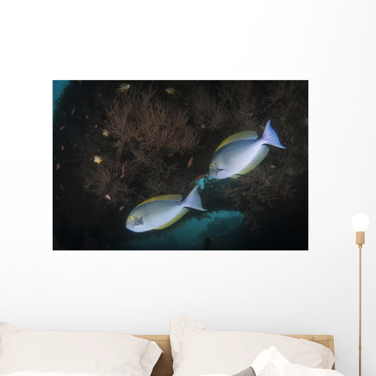 Yellowmask Surgeonfish Uss Liberty Wall Decal