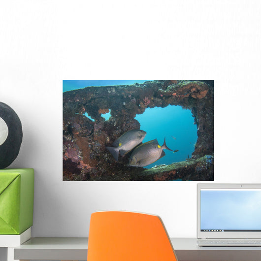 Golden Rabbitfish Uss Liberty Wall Decal