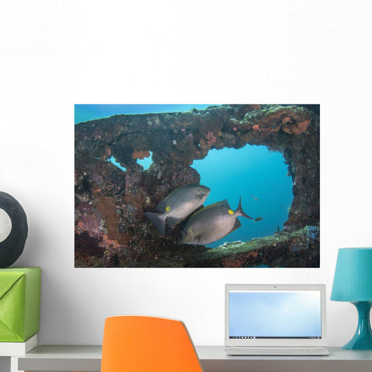 Golden Rabbitfish Uss Liberty Wall Decal