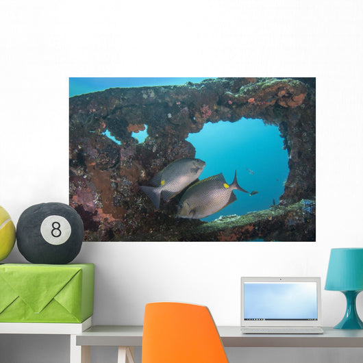 Golden Rabbitfish Uss Liberty Wall Decal