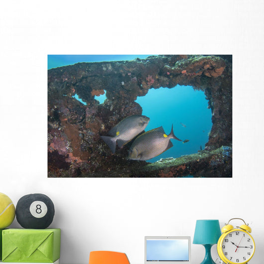Golden Rabbitfish Uss Liberty Wall Decal