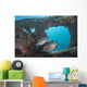 Golden Rabbitfish Uss Liberty Wall Decal