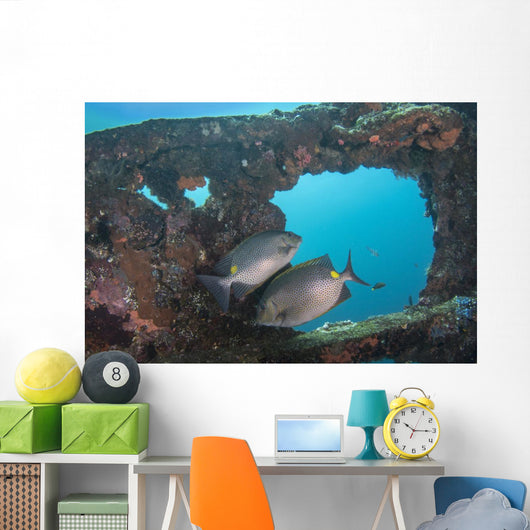 Golden Rabbitfish Uss Liberty Wall Decal