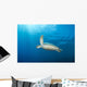 Green Sea Turtle Reef Wall Decal