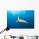 Green Sea Turtle Reef Wall Decal