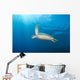 Green Sea Turtle Reef Wall Decal