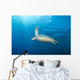 Green Sea Turtle Reef Wall Decal