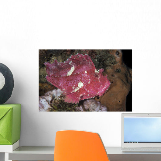 Leaf Scorpionfish Uss Liberty Wall Decal