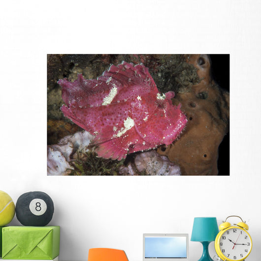 Leaf Scorpionfish Uss Liberty Wall Decal