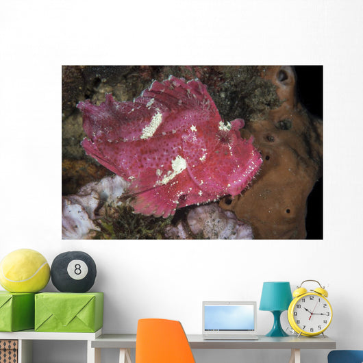 Leaf Scorpionfish Uss Liberty Wall Decal