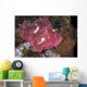 Leaf Scorpionfish Uss Liberty Wall Decal