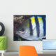 Indo-pacific Sergeant Fish Tending Horizontal Wall Decal