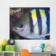 Indo-pacific Sergeant Fish Tending Horizontal Wall Decal