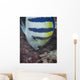 Indo-pacific Sergeant Fish Tending Wall Decal