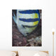 Indo-pacific Sergeant Fish Tending Wall Decal