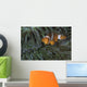 False Clownfish Anemone Front View Wall Decal