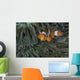 False Clownfish Anemone Front View Wall Decal