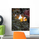 False Clownfish Anemone Wall Decal