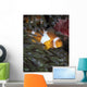 False Clownfish Anemone Wall Decal