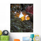 False Clownfish Anemone Wall Decal