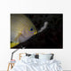 Golden Damselfish Tending Eggs Wall Decal