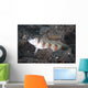 Shrimpgoby Komodo National Park Wall Decal