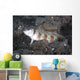 Shrimpgoby Komodo National Park Wall Decal